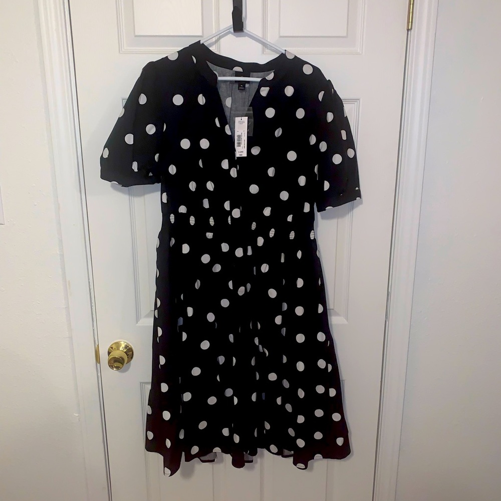 Cotton Button-Up Dress